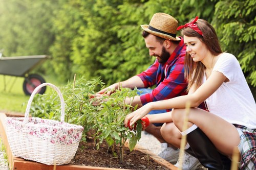 A close-up view of a backyard garden with a raised wooden flower bed containing vibrant green plants, surrounded by well-maintained grass and soil. In the background, there are lush leafy trees and a paved patio area, indicating an outdoor space in a suburban garden. The overall scene demonstrates outdoor gardening activities, with natural sunlight illuminating the area. The garden appears neat and inviting, ideal for relaxing or gardening services in Brixton, highlighting a typical landscaped outdoor environment that includes a combination of soil, grass, and planted areas, with a focus on healthy, thriving plants. This setting reflects the type of garden maintenance and landscaping work available from Gardening Services Brixton, aimed at maintaining attractive and functional outdoor spaces in residential areas within the postcode district of SW2 or nearby regions.