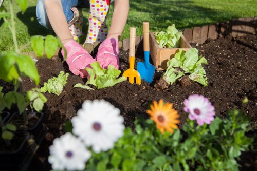 View of a sustainable garden area with compost heaps and mulch